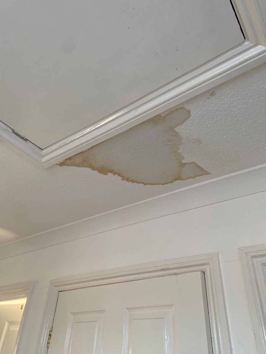 Painter and Decorator: Image 4